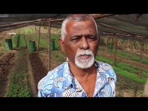 ADRA: příběhy o pomoci (5/13) Cyklony sužované Fidži