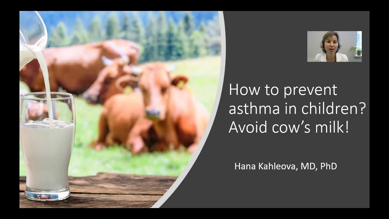 Prevence astmatu u dětí